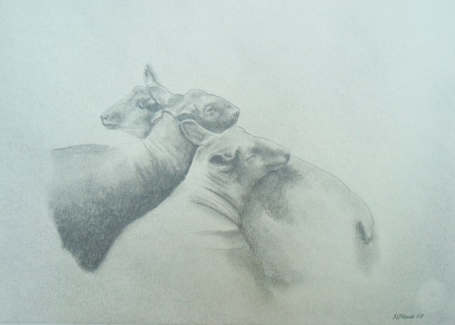 Dibujo 2008